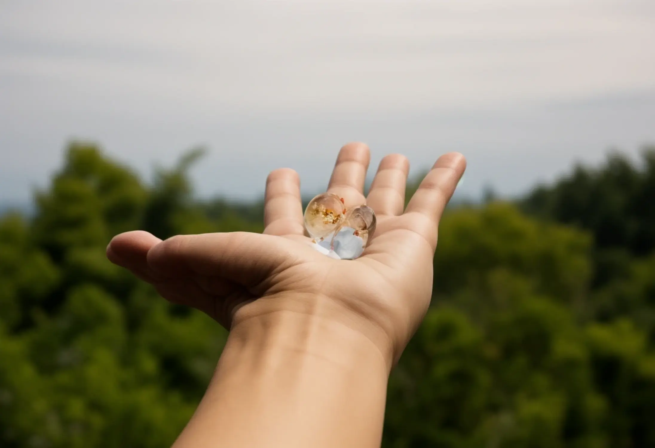 img-bng-tokens-biodiversity-conservation